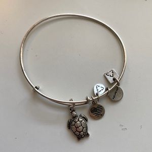 Alex and Ani Silver Turtle Bracelet